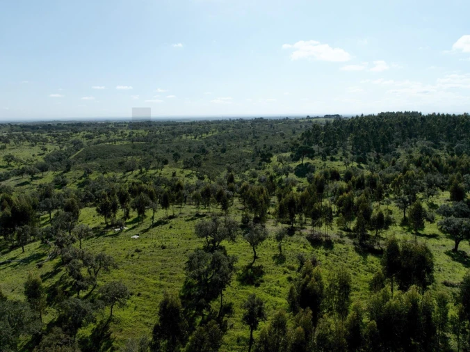 Terreno para Venda em Grândola e Santa Margarida da Serra Foto 23