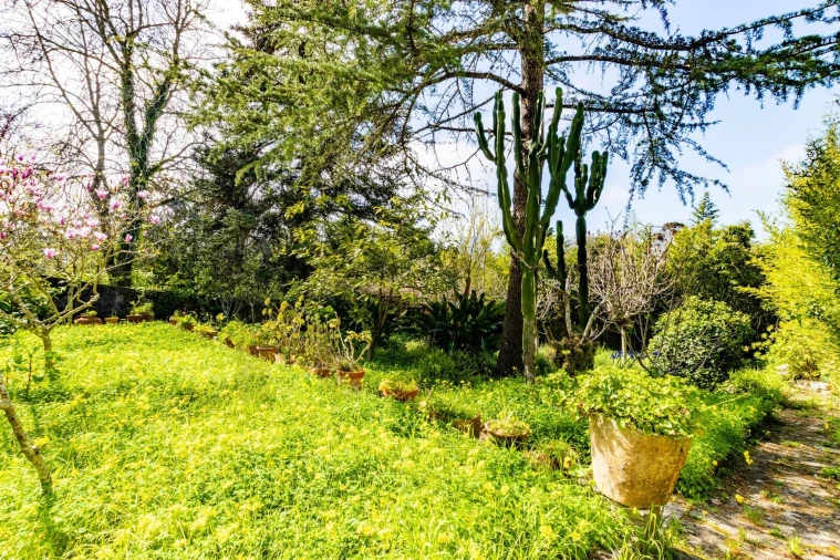 Moradia T6 para Venda em São João das Lampas e Terrugem Foto 6