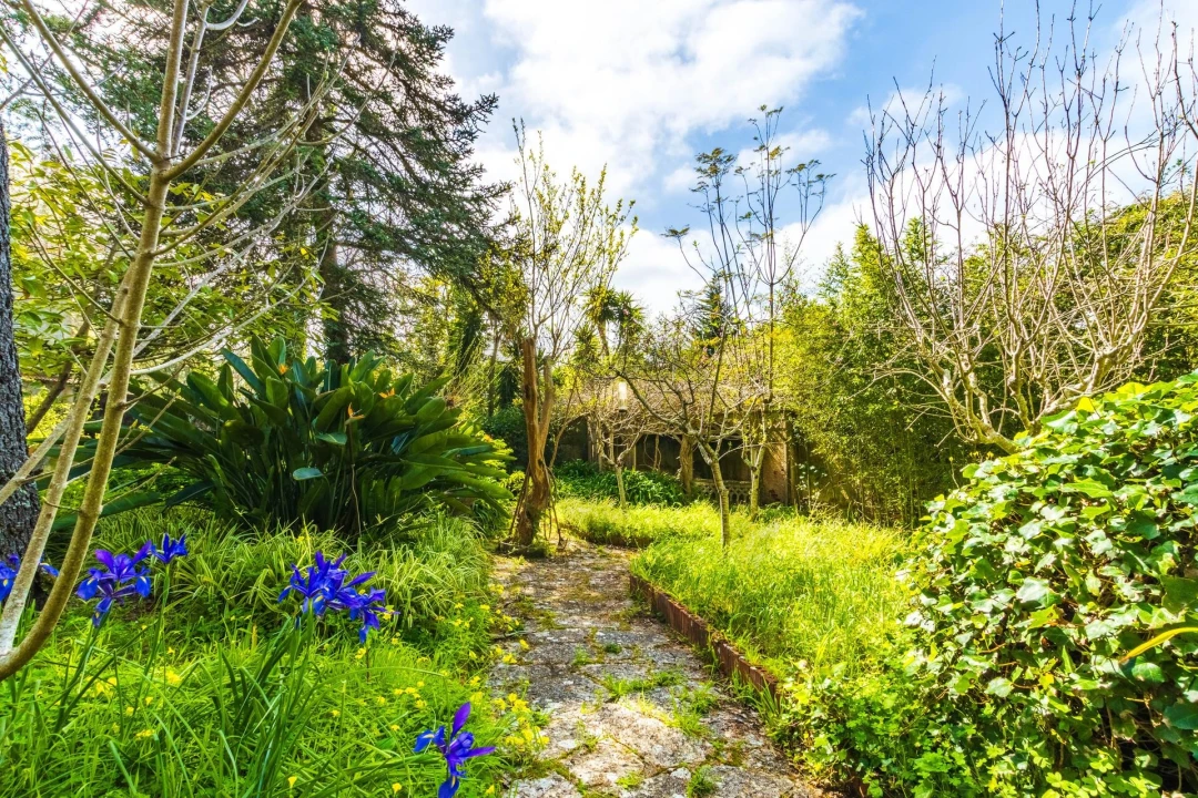 Moradia T6 para Venda em São João das Lampas e Terrugem Foto 7
