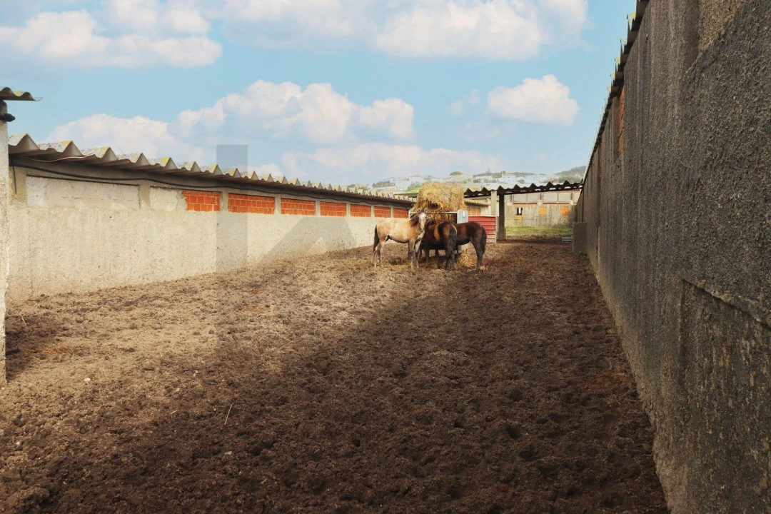 Quinta T5 para Venda em Almargem do Bispo, Pêro Pinheiro e Montelavar Foto 29