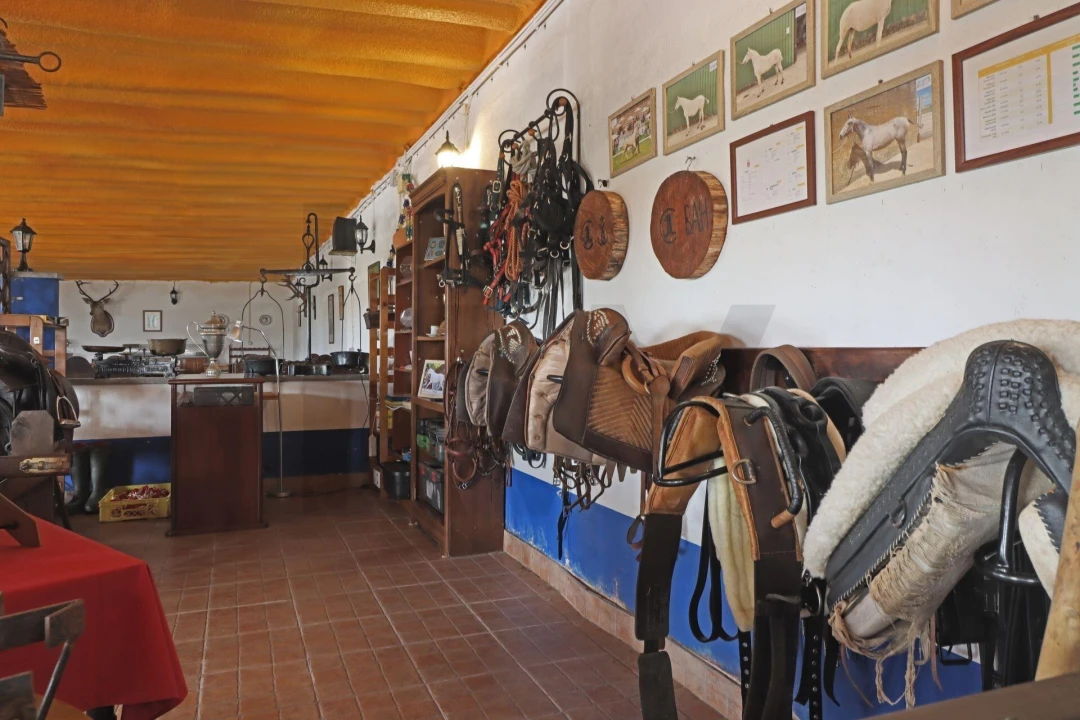Quinta T5 para Venda em Almargem do Bispo, Pêro Pinheiro e Montelavar Foto 38