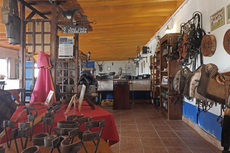 Quinta T5 para Venda em Almargem do Bispo, Pêro Pinheiro e Montelavar Foto 39