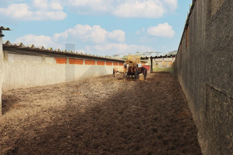 Quinta T5 para Venda em Almargem do Bispo, Pêro Pinheiro e Montelavar Foto 29