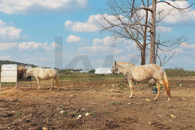 Quinta T5 para Venda em Almargem do Bispo, Pêro Pinheiro e Montelavar Foto 21