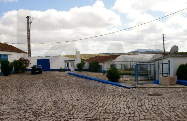 Quinta T5 para Venda em Almargem do Bispo, Pêro Pinheiro e Montelavar Foto 2