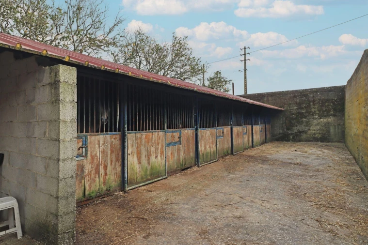Quinta T5 para Venda em Almargem do Bispo, Pêro Pinheiro e Montelavar Foto 48