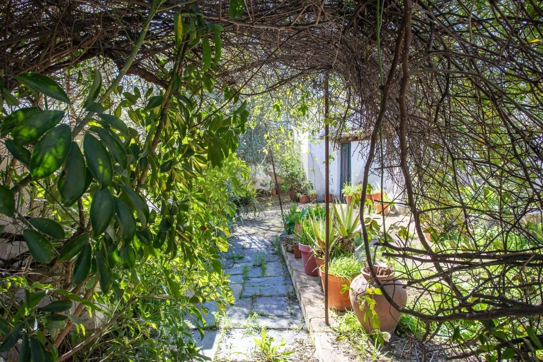 Moradia T5 para Venda em Aljustrel e Rio de Moinhos Foto 40