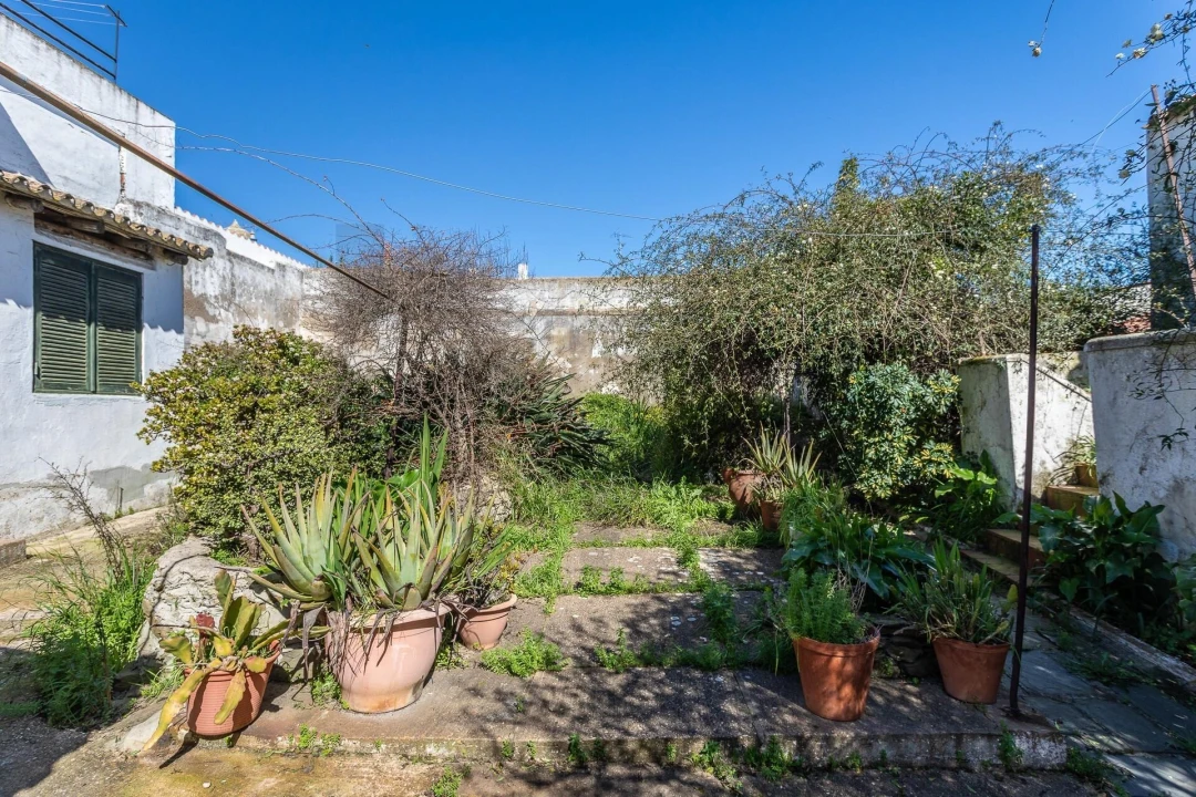 Moradia T5 para Venda em Aljustrel e Rio de Moinhos Foto 21