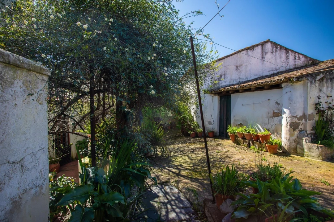 Moradia T5 para Venda em Aljustrel e Rio de Moinhos Foto 43