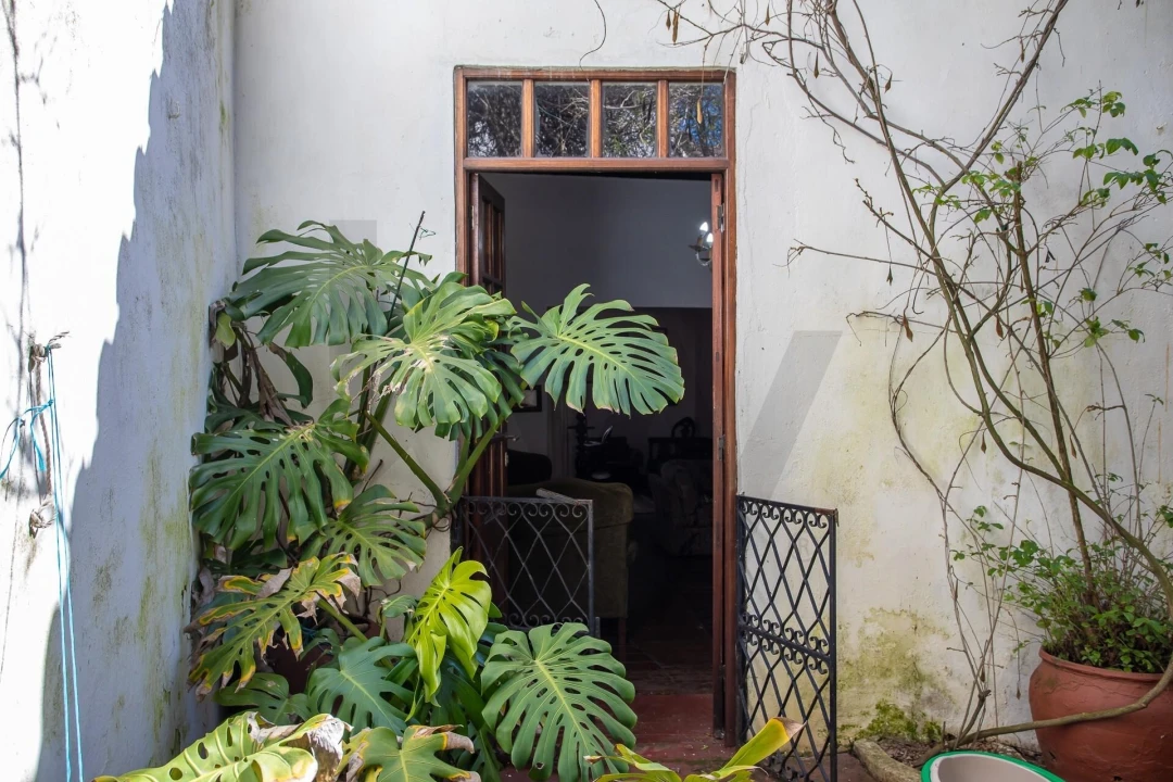 Moradia T5 para Venda em Aljustrel e Rio de Moinhos Foto 11