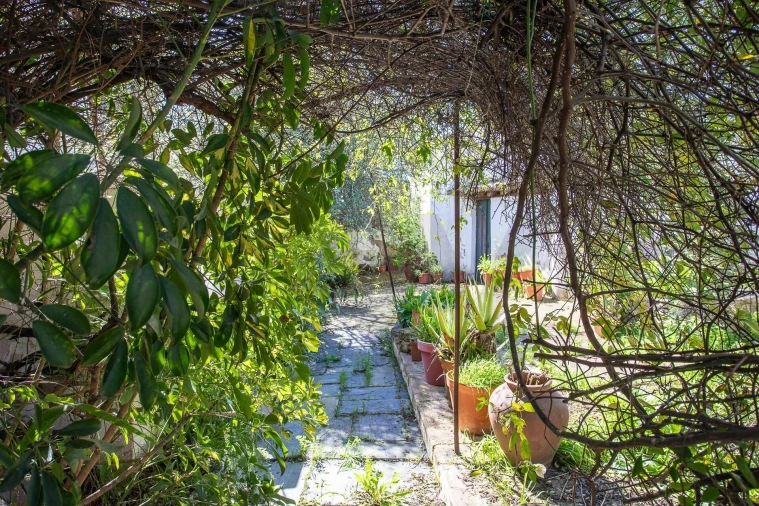 Moradia T5 para Venda em Aljustrel e Rio de Moinhos Foto 40