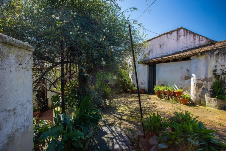 Moradia T5 para Venda em Aljustrel e Rio de Moinhos Foto 43