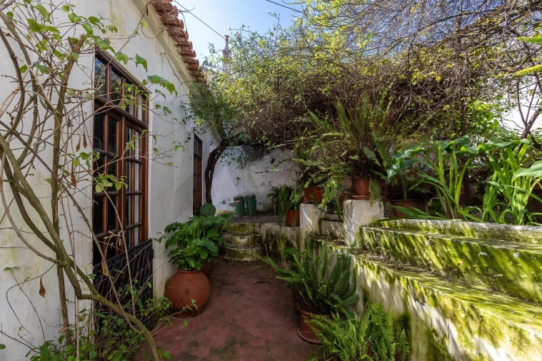 Moradia T5 para Venda em Aljustrel e Rio de Moinhos Foto 22