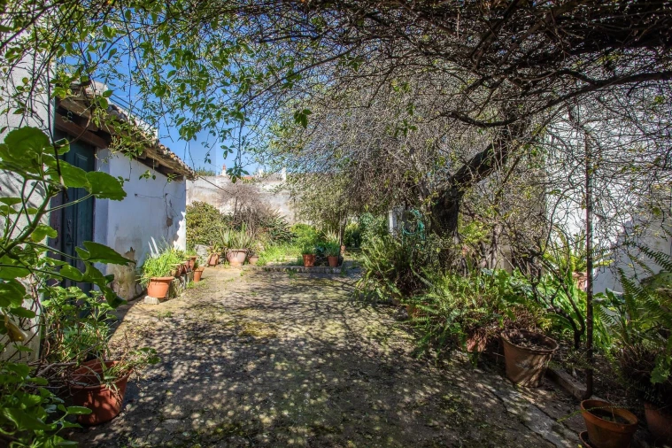 Moradia T5 para Venda em Aljustrel e Rio de Moinhos Foto 16