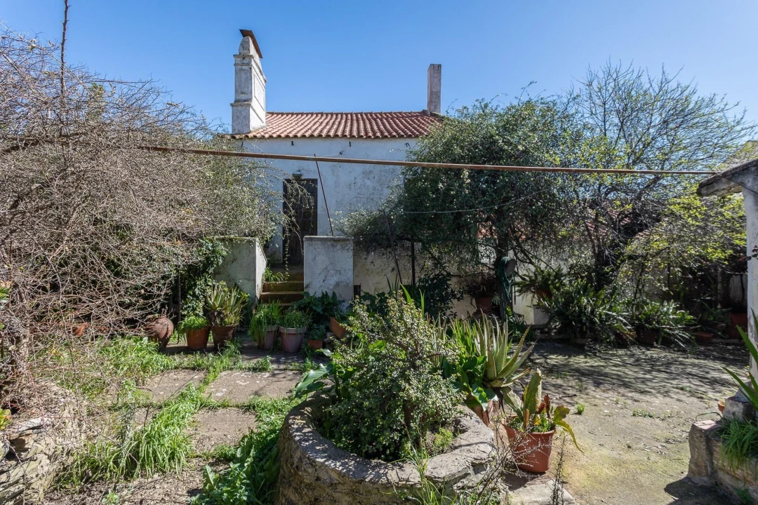 Moradia T5 para Venda em Aljustrel e Rio de Moinhos Foto 44