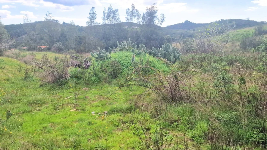 Terreno para Venda em Silves Foto 3