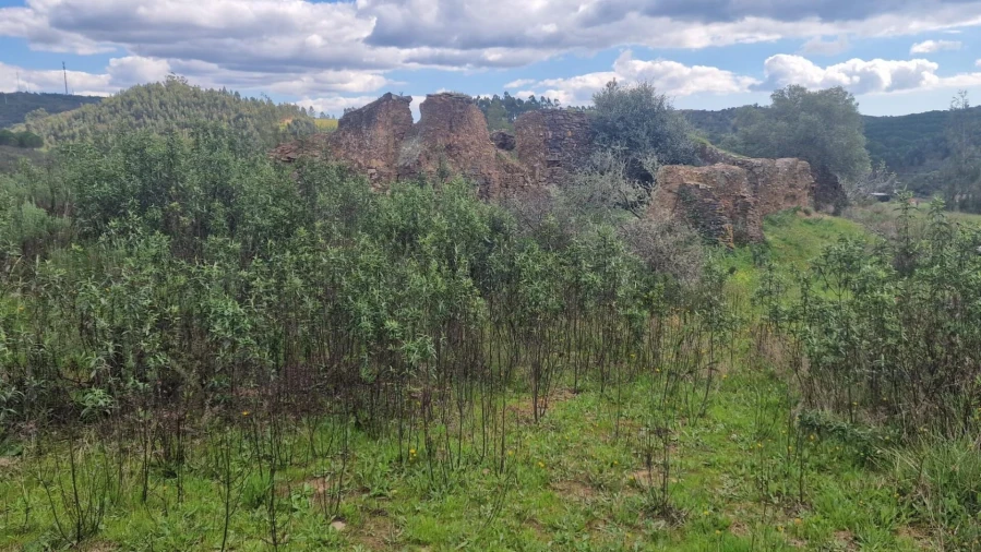 Terreno para Venda em Silves Foto 7