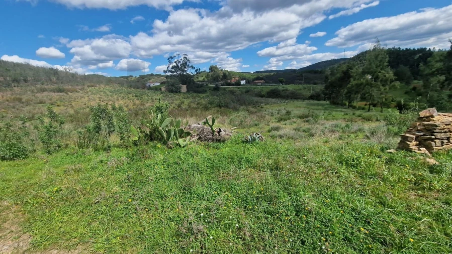 Terreno para Venda em Silves Foto 4