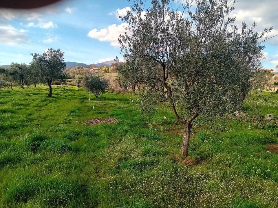 Terreno para Venda em Paul Foto 1