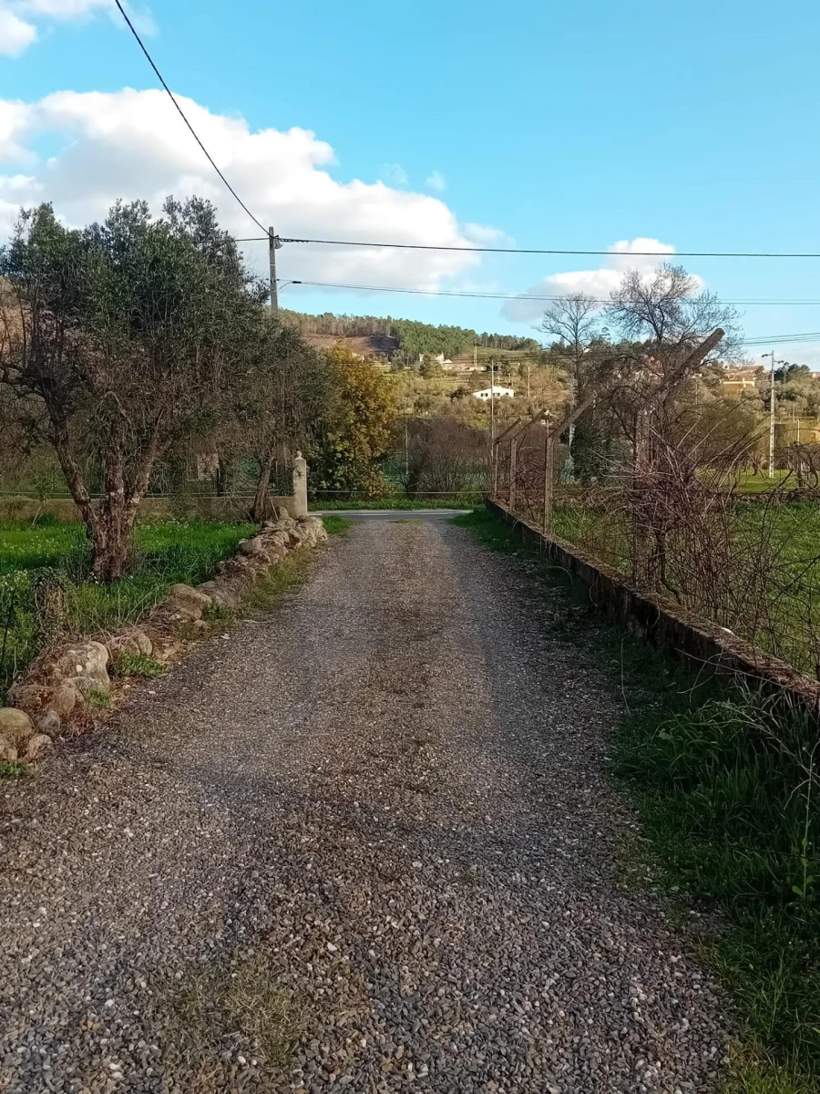 Terreno para Venda em Paul Foto 8