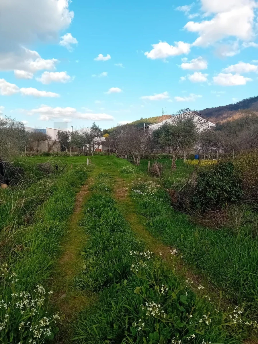 Terreno para Venda em Paul Foto 3