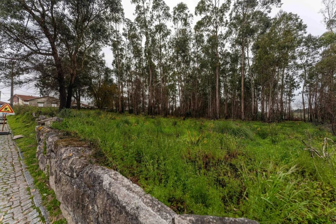 Terreno para Venda em Cidade da Maia Foto 23
