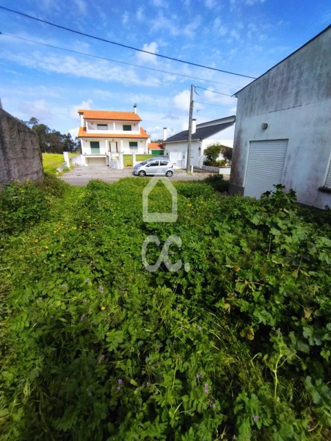 Terreno para Venda em Monte Real e Carvide