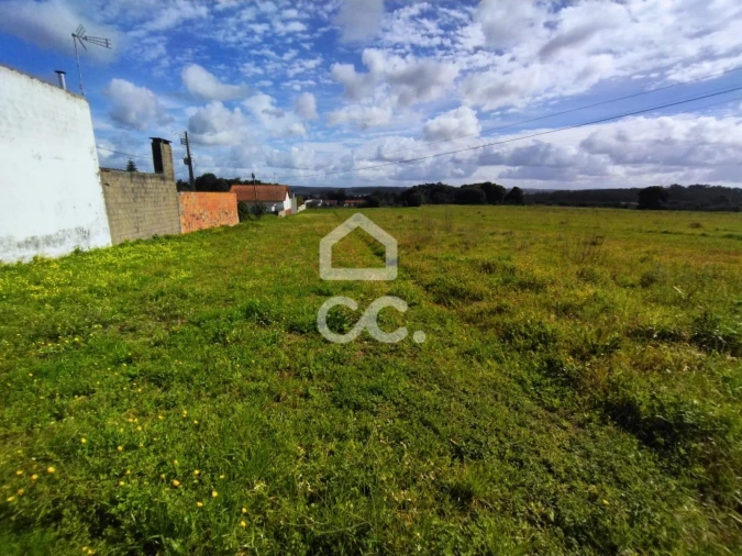 Terreno para Venda em Monte Real e Carvide Foto 2