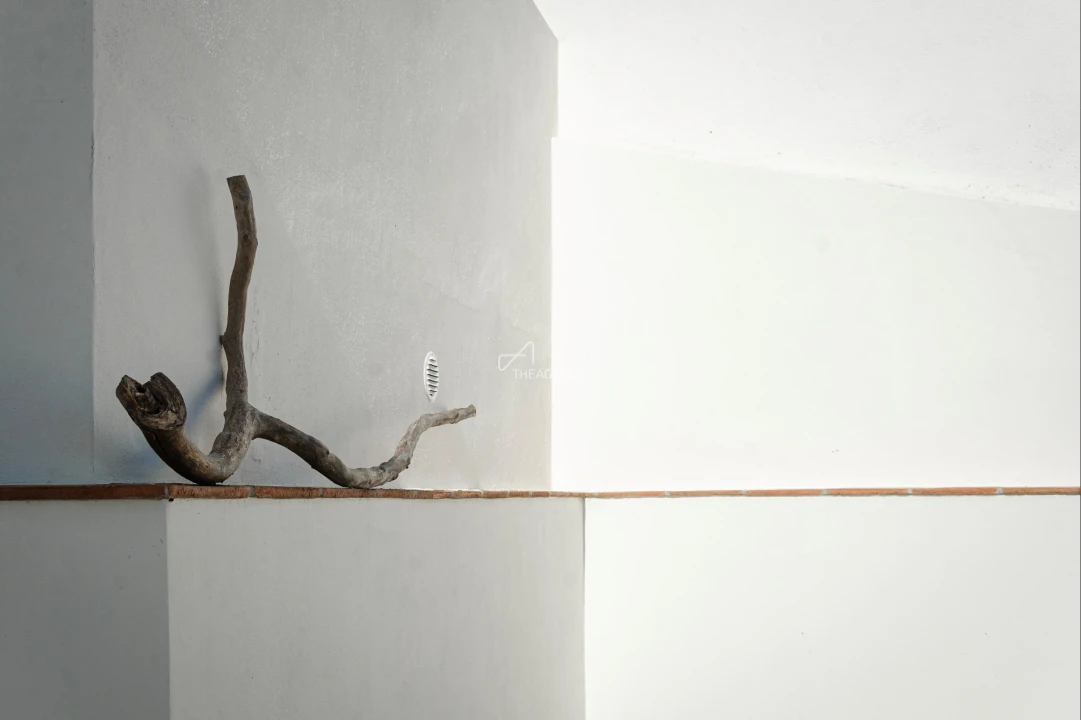 Moradia T3 para Venda em Santa Maria do Castelo e Santiago e Santa Susana Foto 15