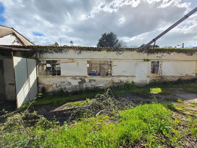 Terreno para Venda em Zibreira Foto 12