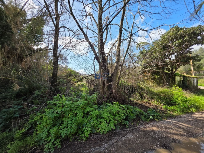 Terreno para Venda em Zibreira Foto 15
