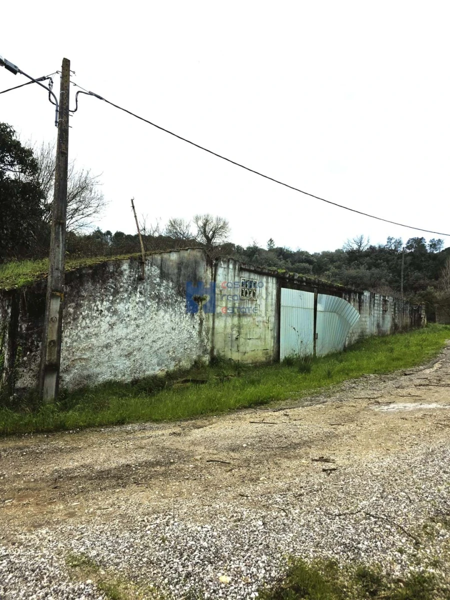 Terreno para Venda em Zibreira Foto 4