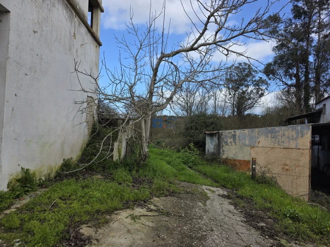 Terreno para Venda em Zibreira Foto 6