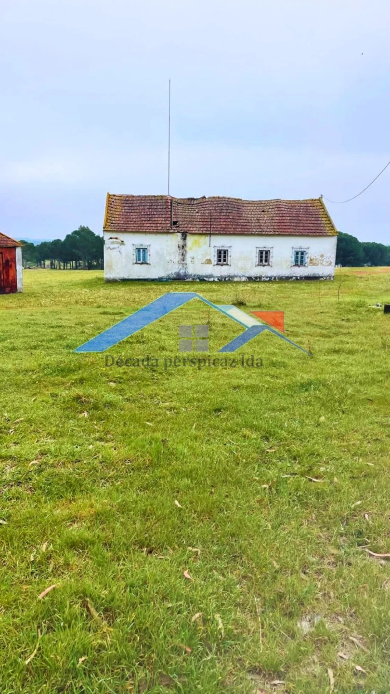 Quinta T2 para Venda em Branca Foto 5