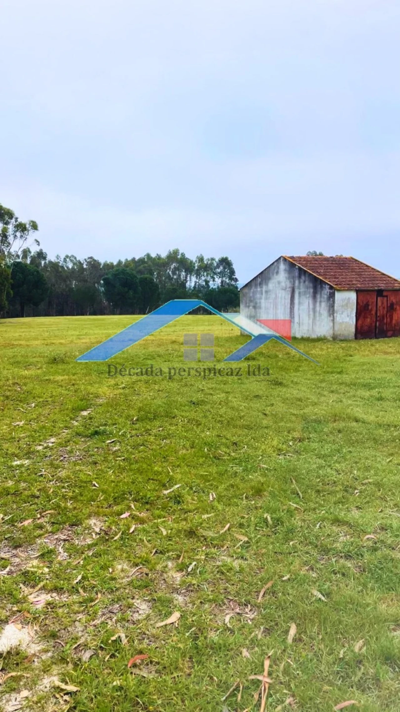 Quinta T2 para Venda em Branca Foto 2