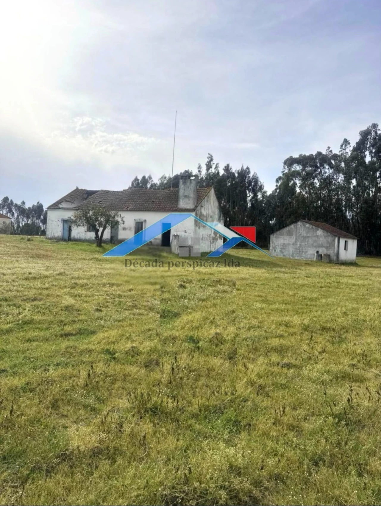 Quinta T2 para Venda em Branca Foto 1