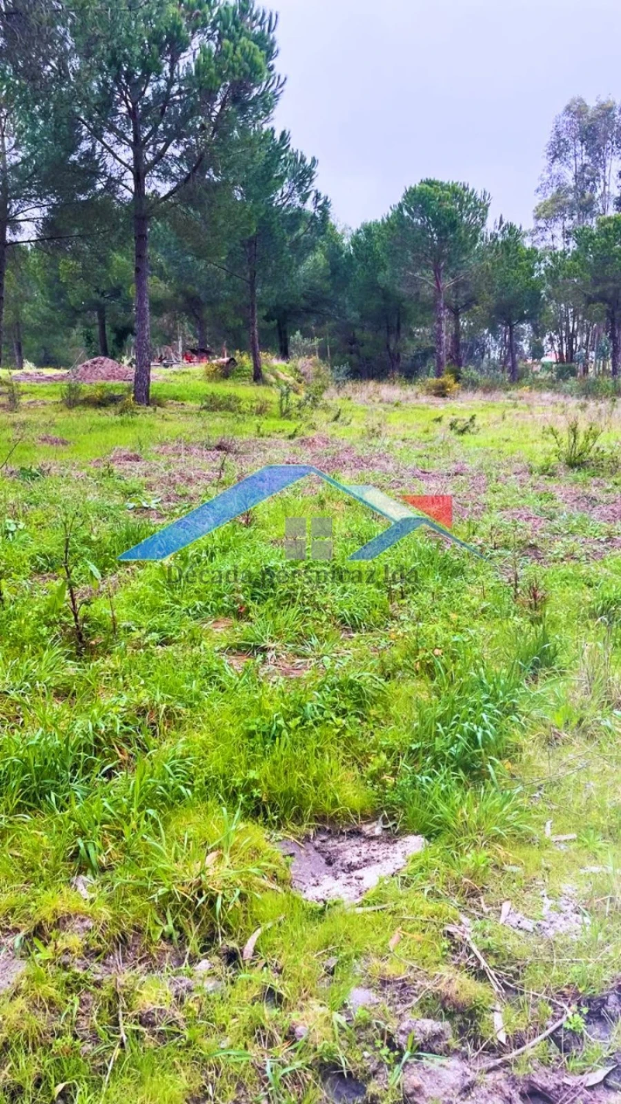 Quinta T2 para Venda em Branca Foto 6