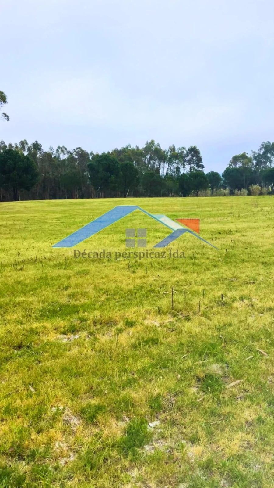 Quinta T2 para Venda em Branca Foto 3