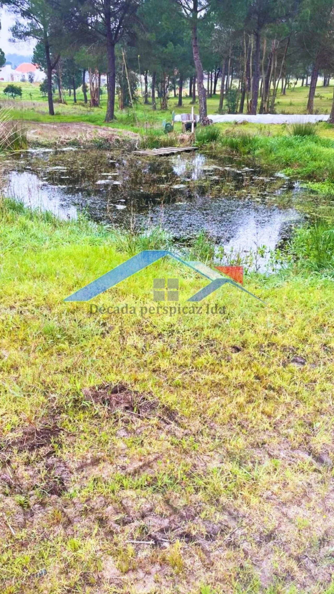 Quinta T2 para Venda em Branca Foto 4