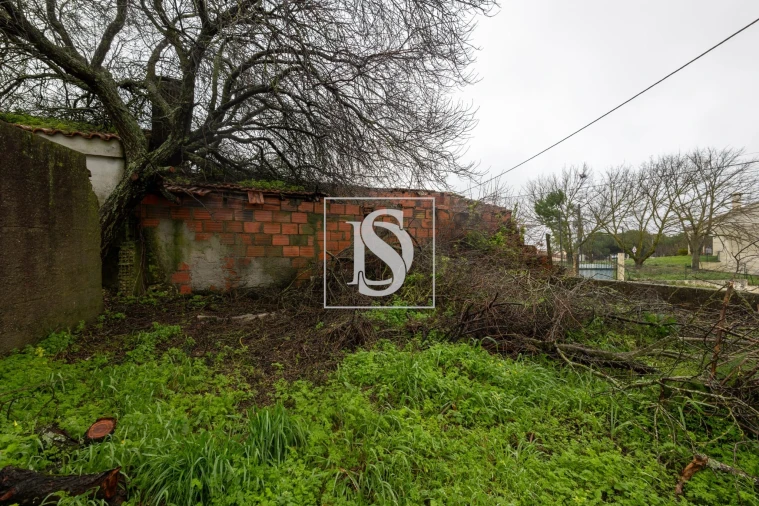 Moradia T3 para Venda em Azoia de Cima e Tremês Foto 25