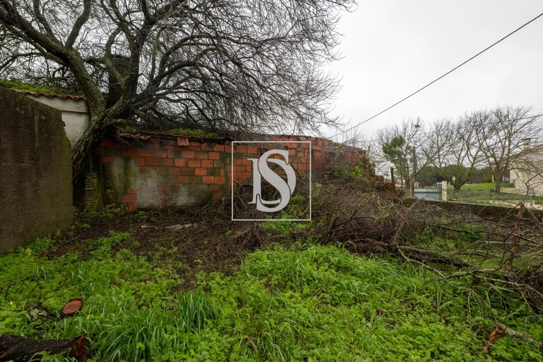 Moradia T3 para Venda em Azoia de Cima e Tremês Foto 25