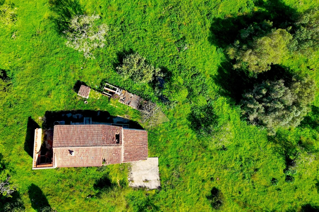 Terreno para Venda em Lagos (São Sebastião e Santa Maria) Foto 15