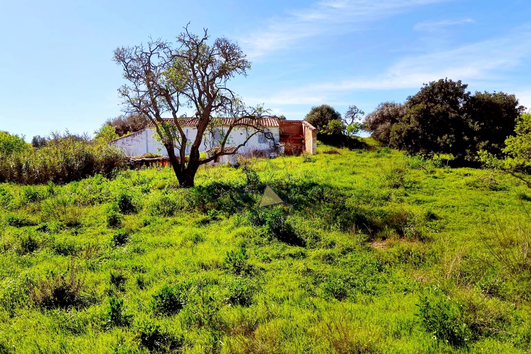 Terreno para Venda em Lagos (São Sebastião e Santa Maria) Foto 11