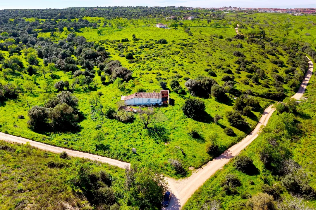 Terreno para Venda em Lagos (São Sebastião e Santa Maria) Foto 4