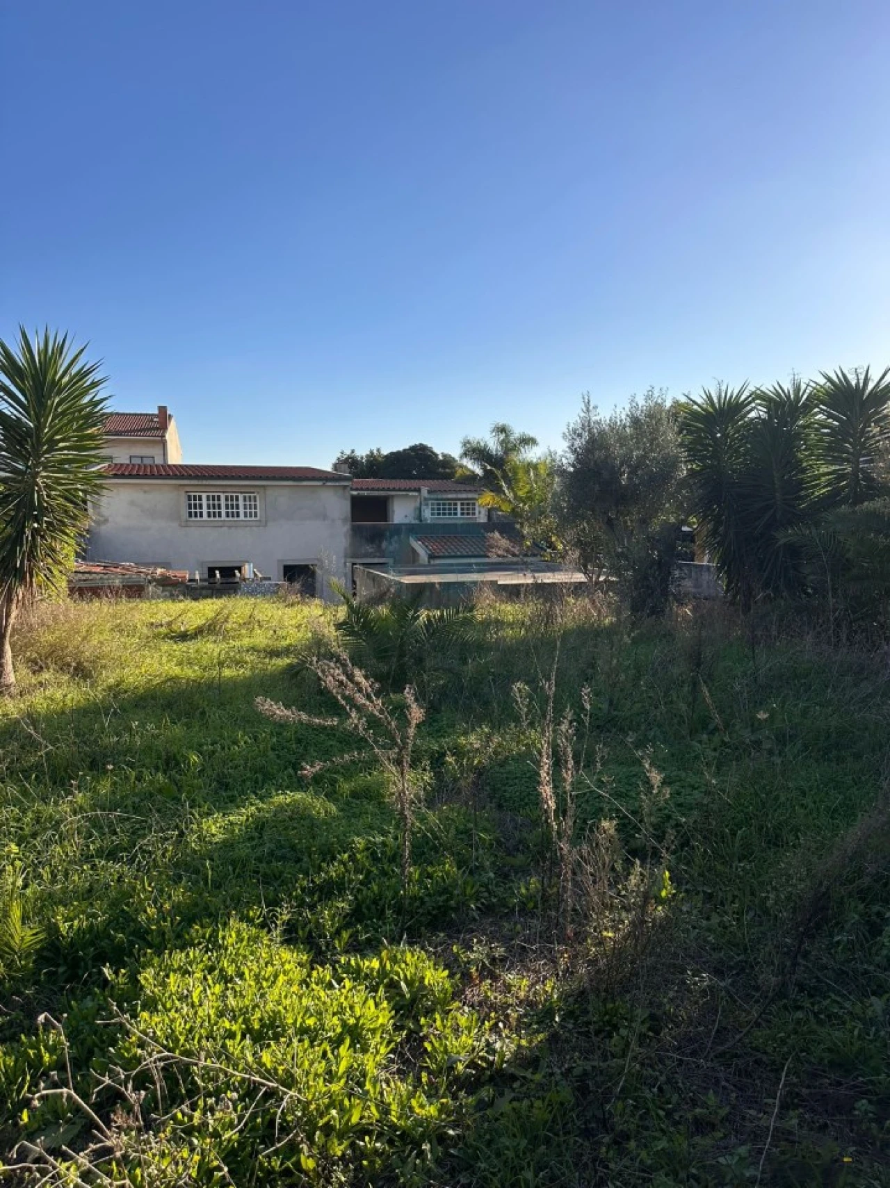 Terreno para Venda em Canidelo Foto 8