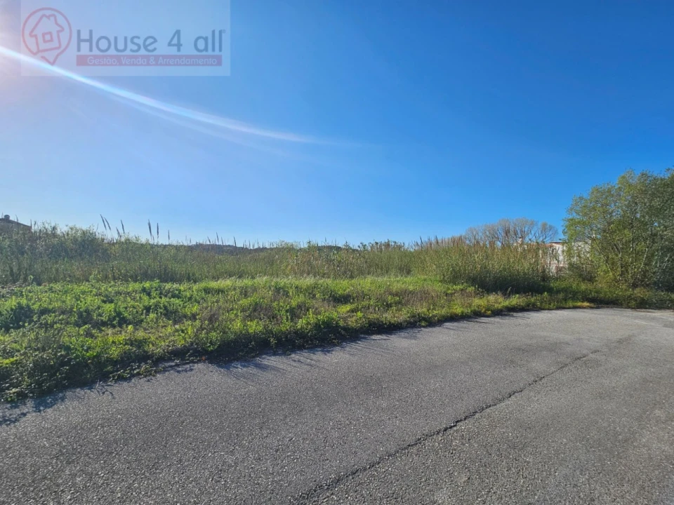 Terreno para Venda em Tornada e Salir do Porto Foto 2