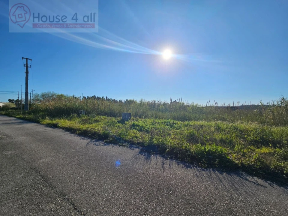 Terreno para Venda em Tornada e Salir do Porto Foto 5