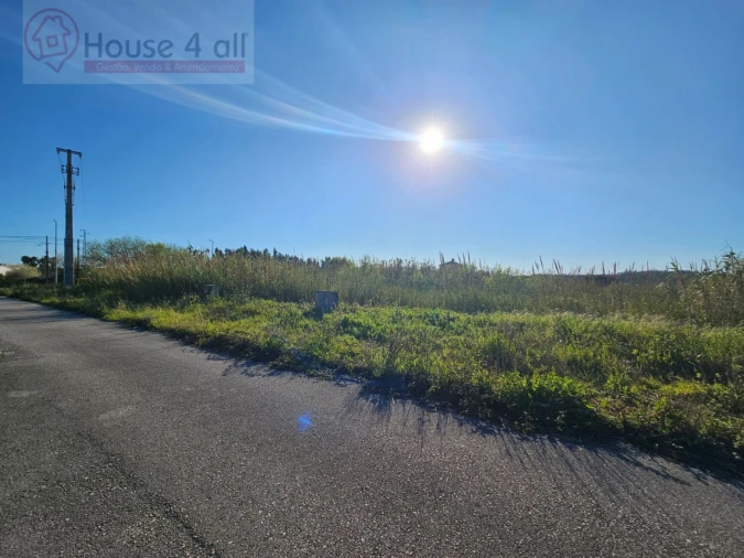 Terreno para Venda em Tornada e Salir do Porto Foto 5