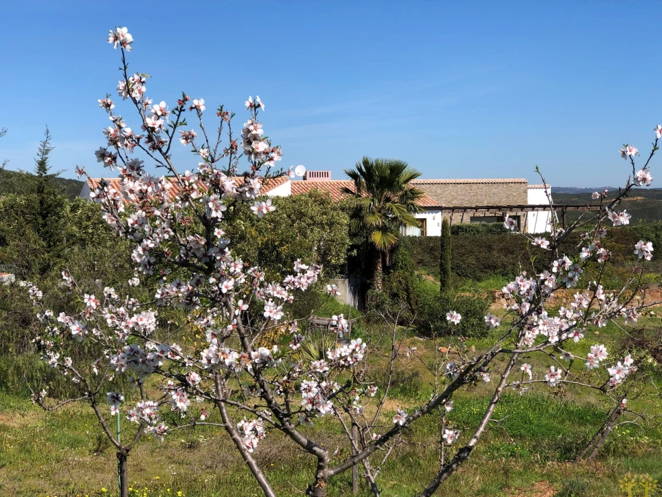 Moradia T4 para Venda em Tavira (Santa Maria e Santiago) Foto 57