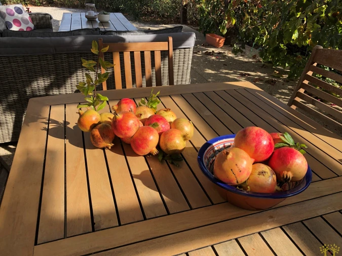 Moradia T4 para Venda em Tavira (Santa Maria e Santiago) Foto 15